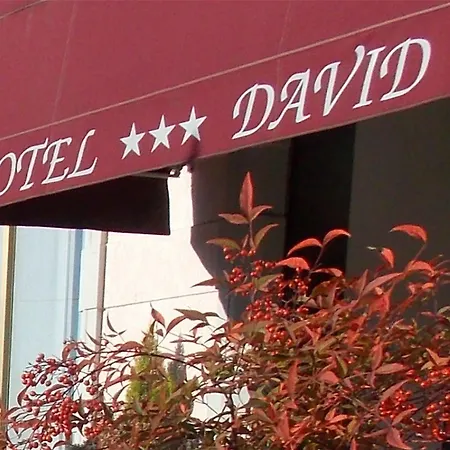 David 3* Sesto Calende