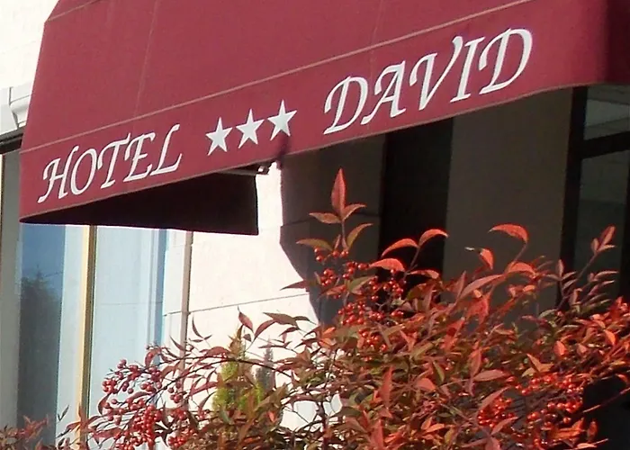 David 3* Sesto Calende